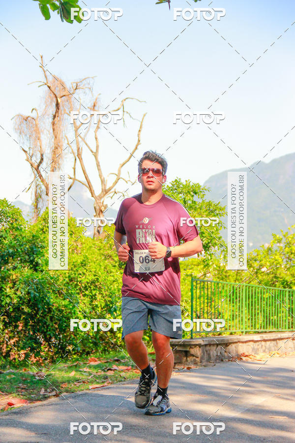 Buy your photos of the eventVelox Run on Fotop