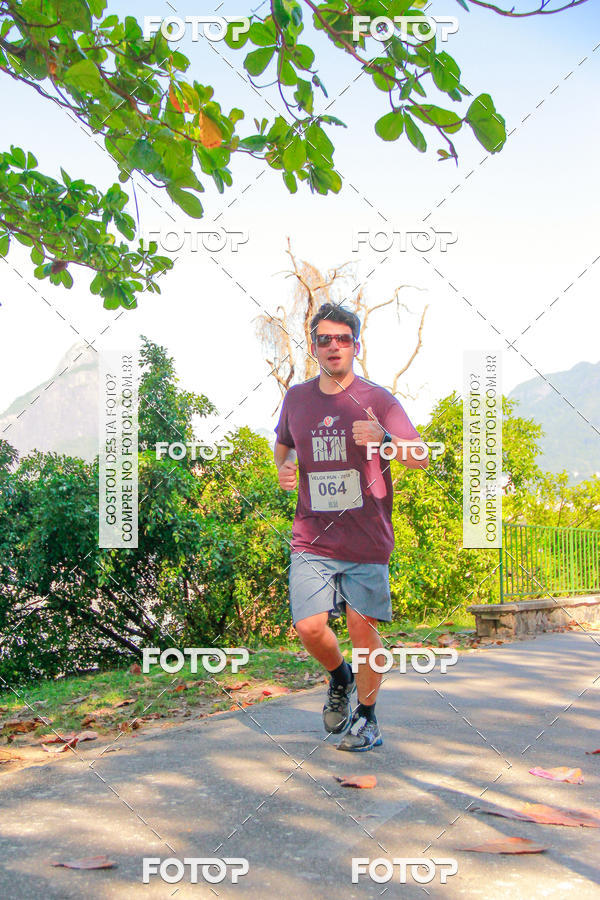 Buy your photos of the eventVelox Run on Fotop