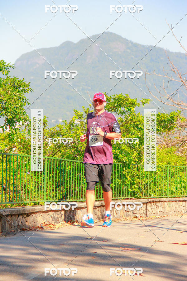 Buy your photos of the eventVelox Run on Fotop