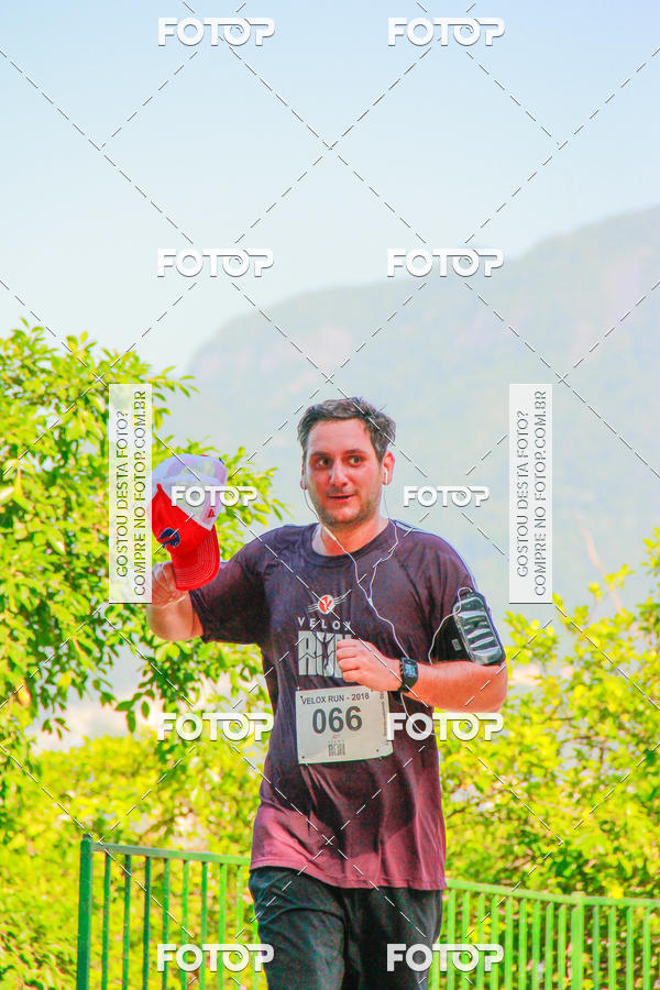 Buy your photos of the eventVelox Run on Fotop