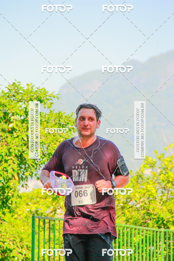 Buy your photos of the eventVelox Run on Fotop