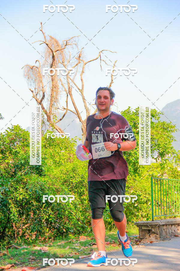 Buy your photos of the eventVelox Run on Fotop