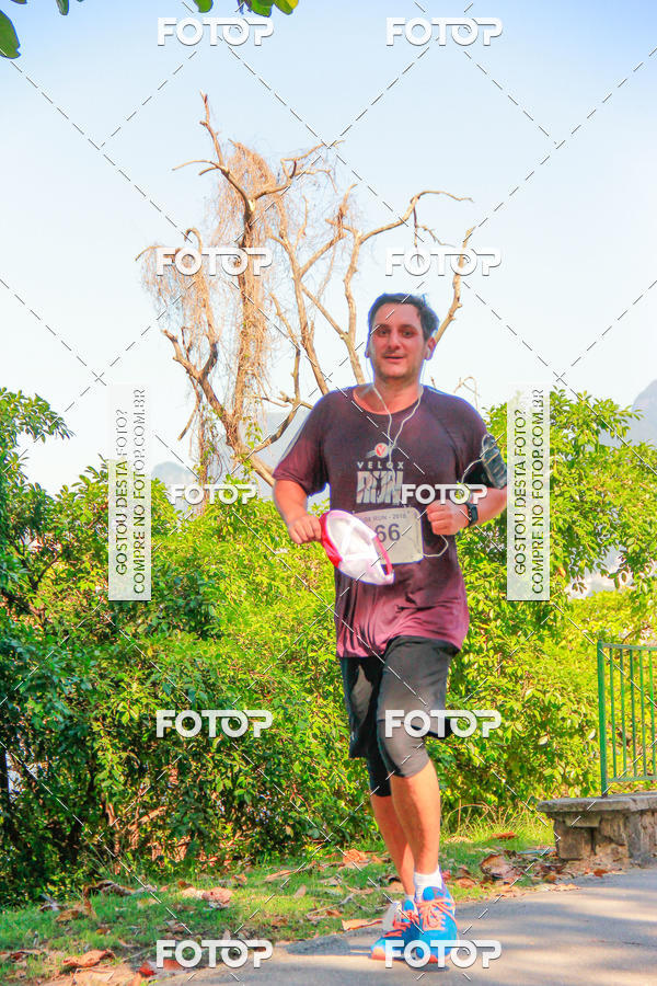 Buy your photos of the eventVelox Run on Fotop
