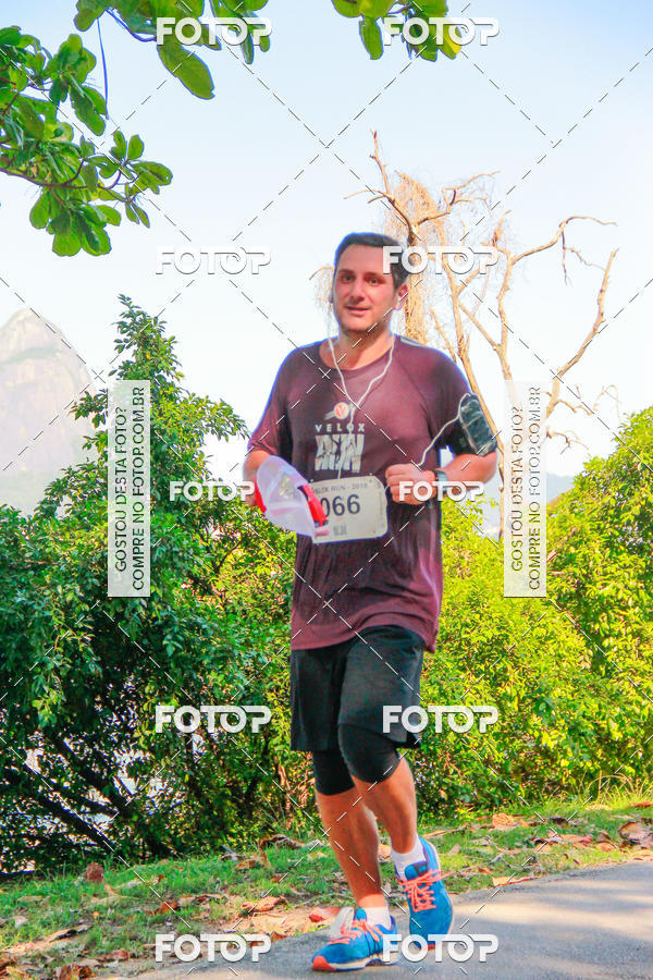 Buy your photos of the eventVelox Run on Fotop