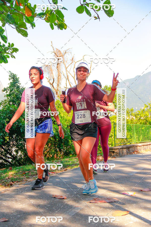 Buy your photos of the eventVelox Run on Fotop