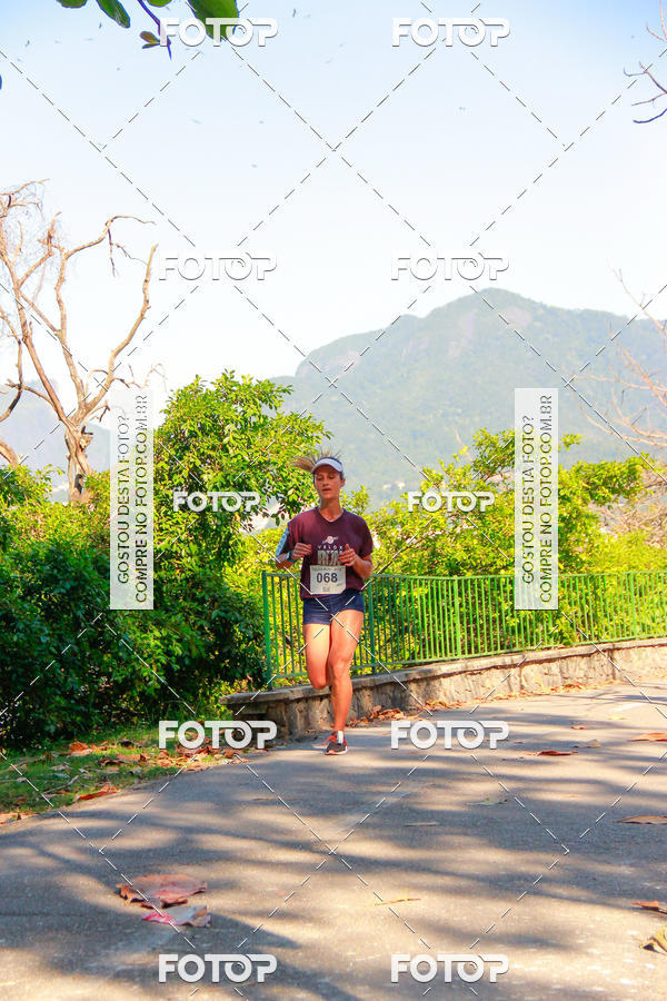 Buy your photos of the eventVelox Run on Fotop