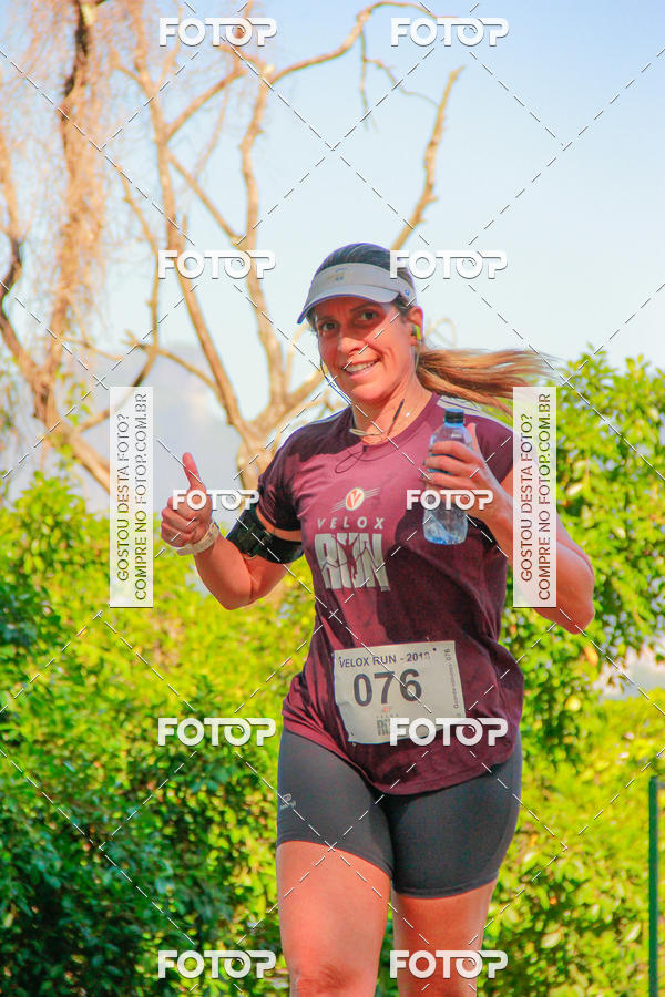 Buy your photos of the eventVelox Run on Fotop