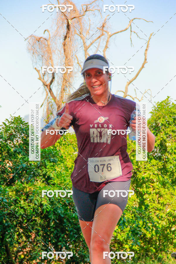 Buy your photos of the eventVelox Run on Fotop