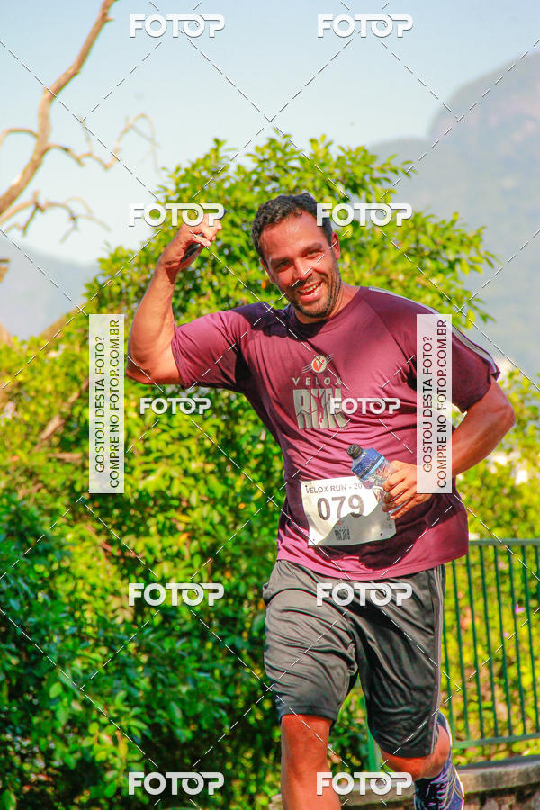 Buy your photos of the eventVelox Run on Fotop