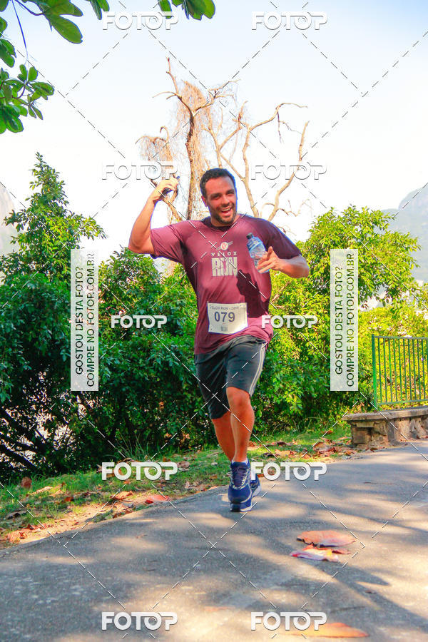 Buy your photos of the eventVelox Run on Fotop