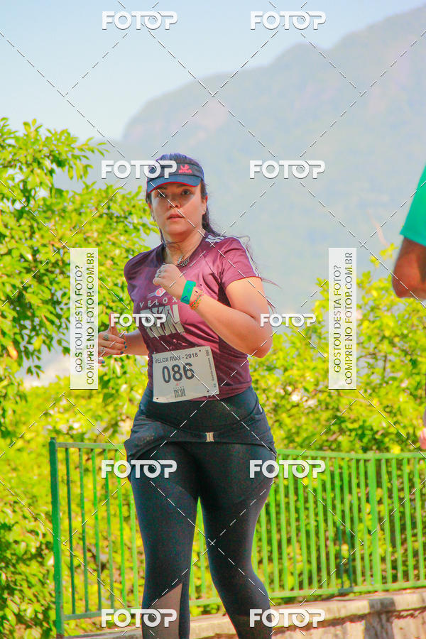 Buy your photos of the eventVelox Run on Fotop