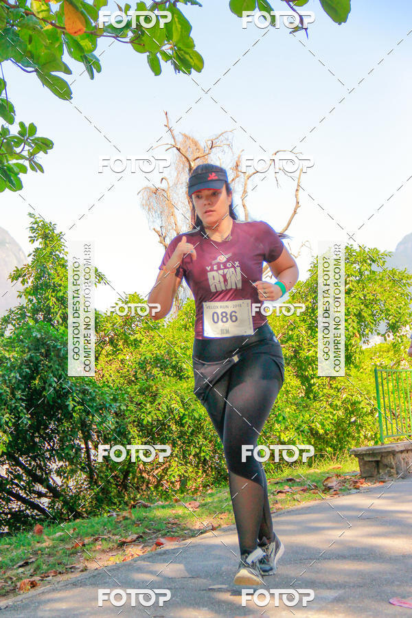 Buy your photos of the eventVelox Run on Fotop
