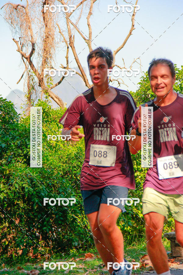 Buy your photos of the eventVelox Run on Fotop
