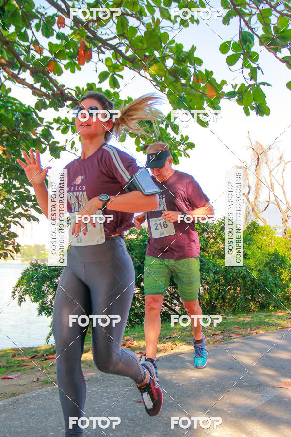 Buy your photos of the eventVelox Run on Fotop