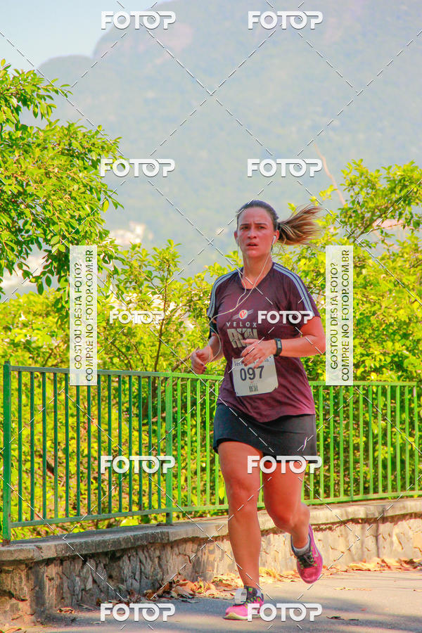 Buy your photos of the eventVelox Run on Fotop