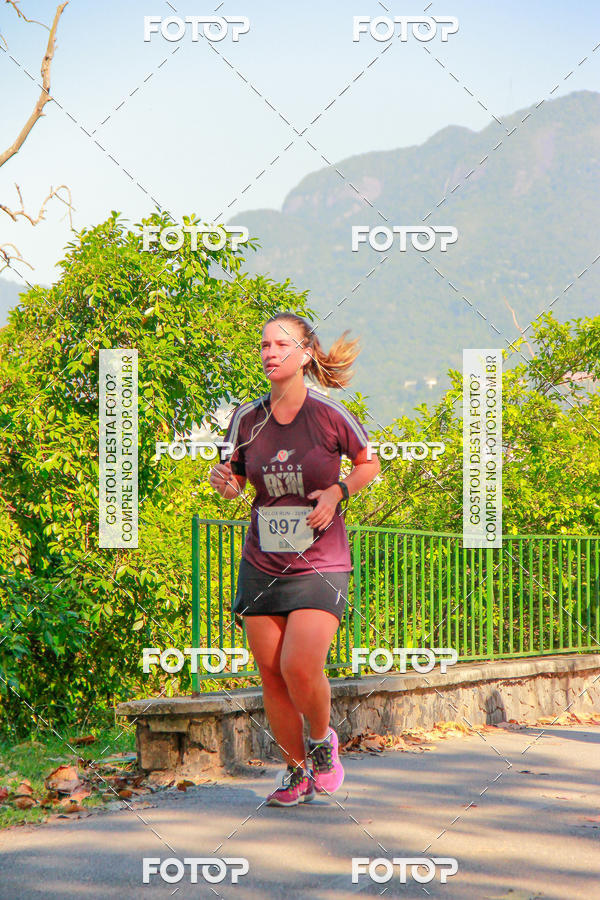 Buy your photos of the eventVelox Run on Fotop