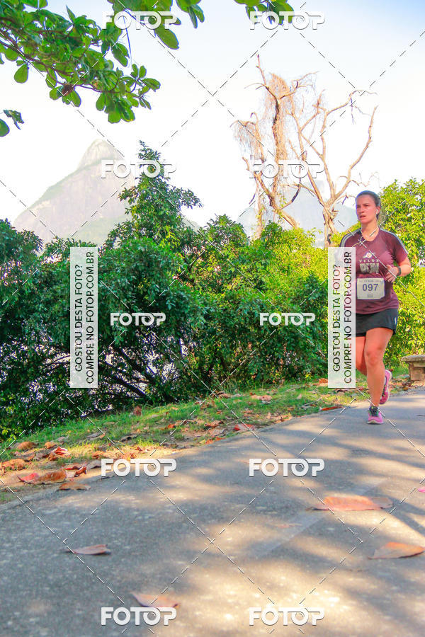 Buy your photos of the eventVelox Run on Fotop