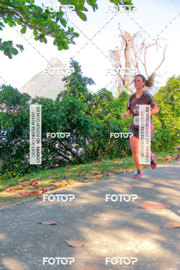 Buy your photos of the eventVelox Run on Fotop