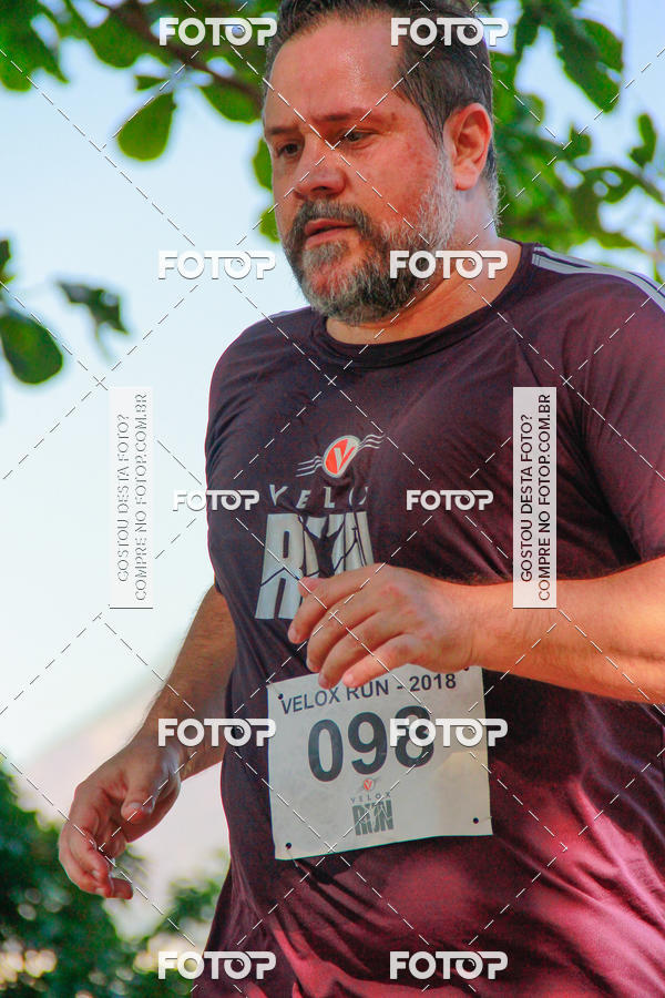 Buy your photos of the eventVelox Run on Fotop