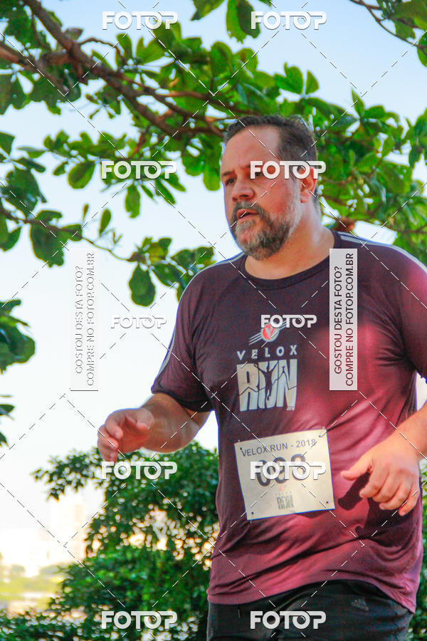 Buy your photos of the eventVelox Run on Fotop