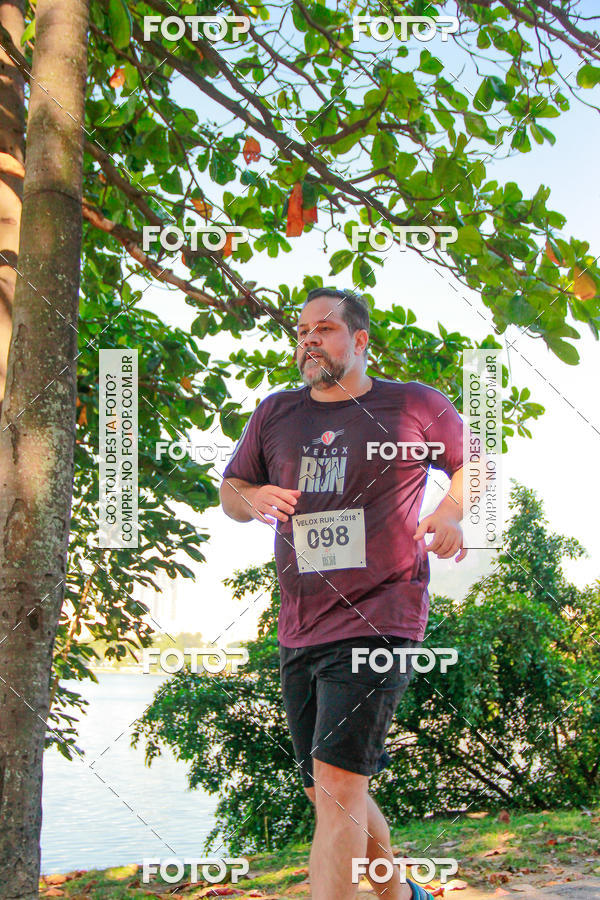 Buy your photos of the eventVelox Run on Fotop