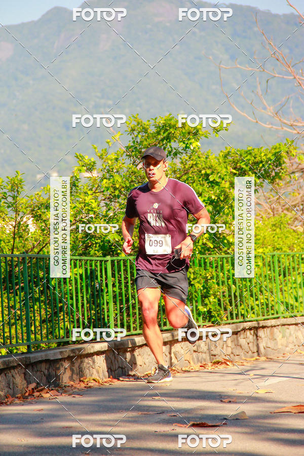 Buy your photos of the eventVelox Run on Fotop
