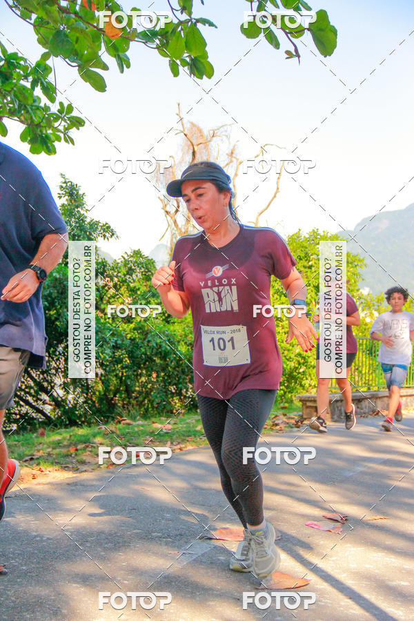 Buy your photos of the eventVelox Run on Fotop