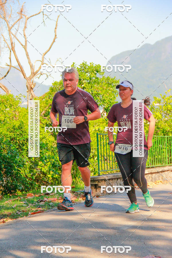 Buy your photos of the eventVelox Run on Fotop