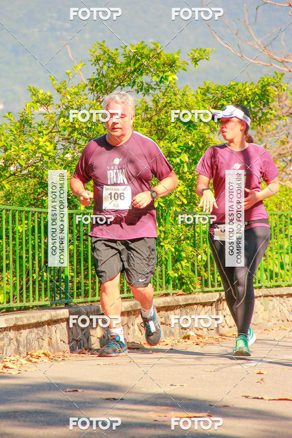 Buy your photos of the eventVelox Run on Fotop