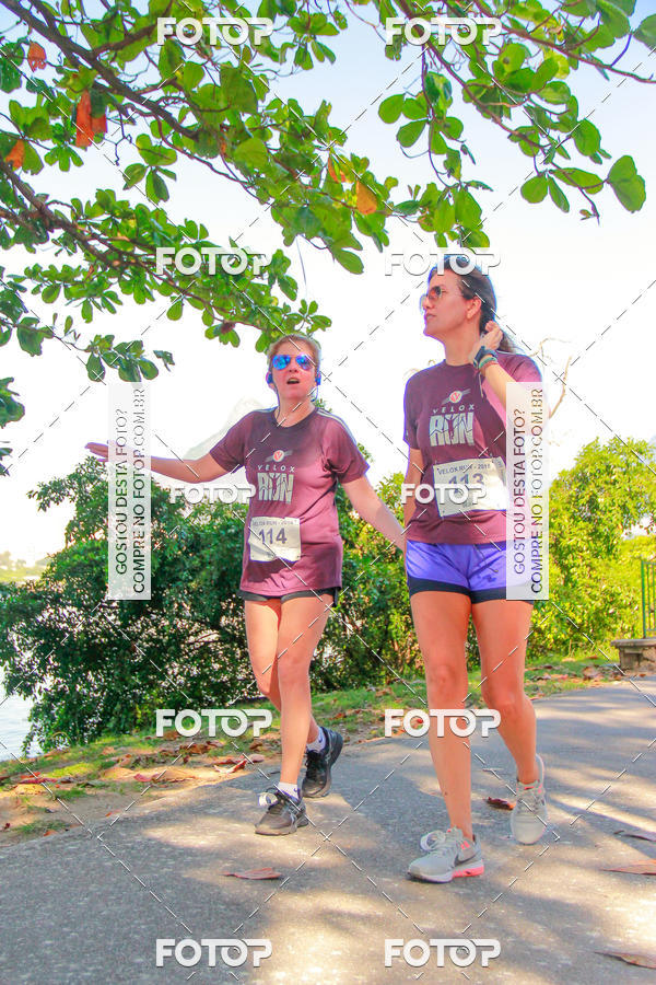 Buy your photos of the eventVelox Run on Fotop