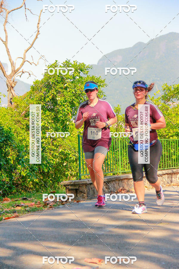 Buy your photos of the eventVelox Run on Fotop