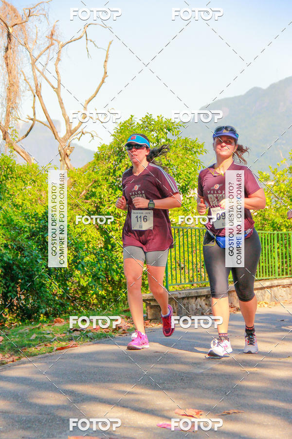 Buy your photos of the eventVelox Run on Fotop