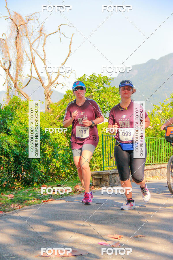 Buy your photos of the eventVelox Run on Fotop