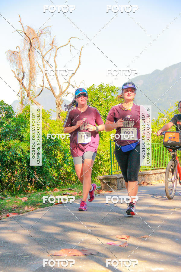 Buy your photos of the eventVelox Run on Fotop