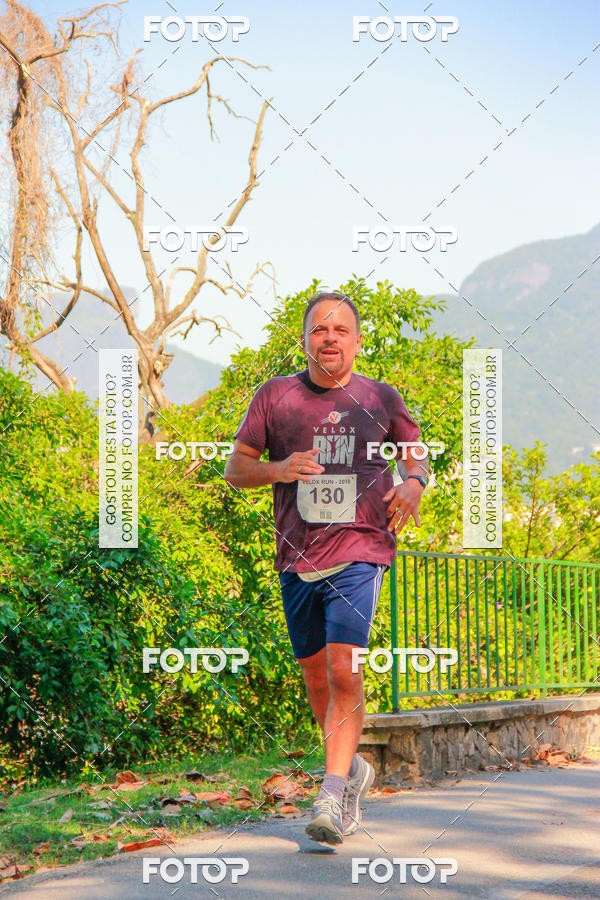 Buy your photos of the eventVelox Run on Fotop