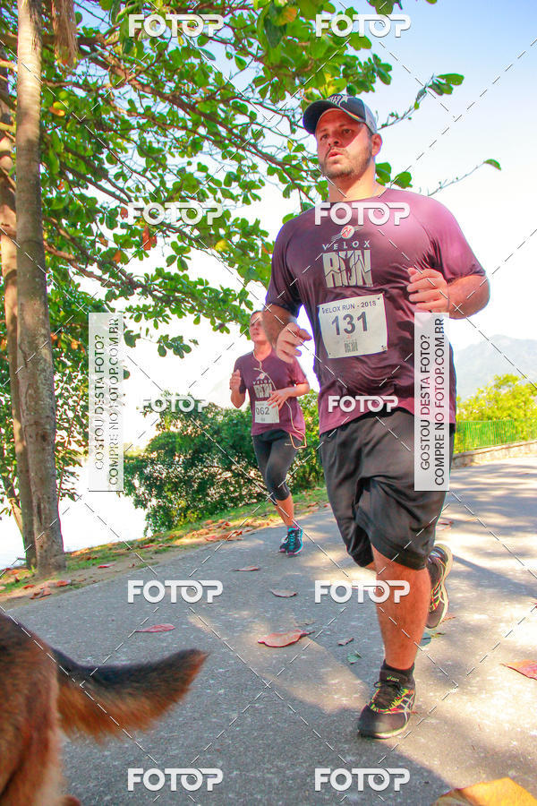 Buy your photos of the eventVelox Run on Fotop