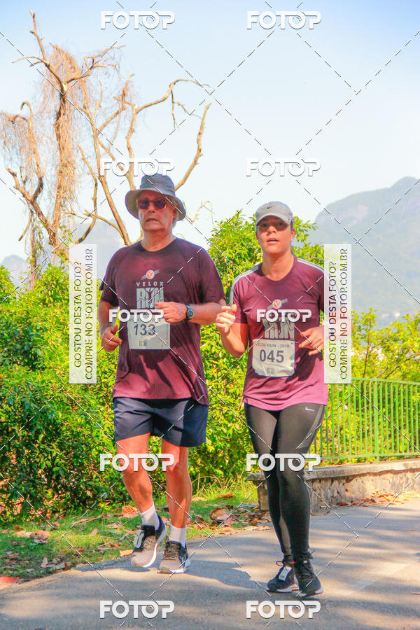 Buy your photos of the eventVelox Run on Fotop