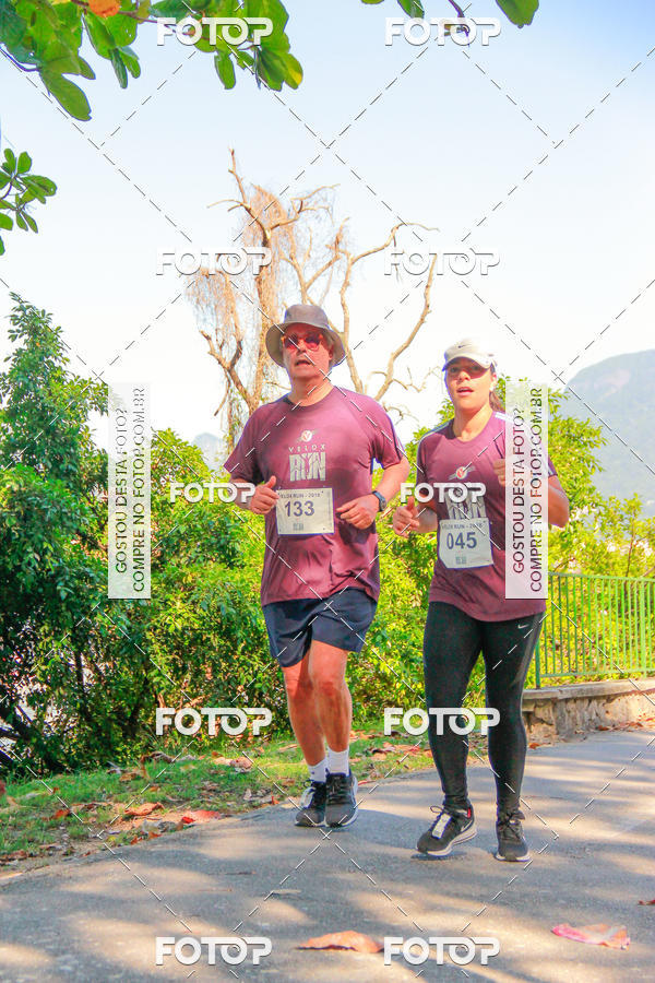 Buy your photos of the eventVelox Run on Fotop