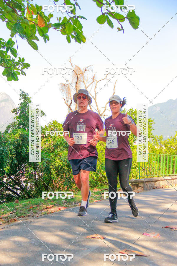 Buy your photos of the eventVelox Run on Fotop