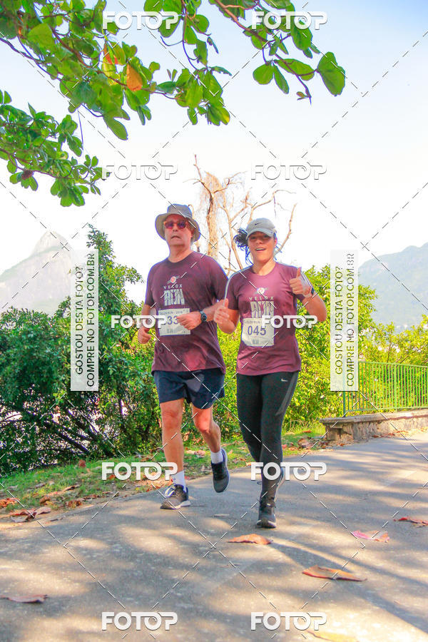 Buy your photos of the eventVelox Run on Fotop