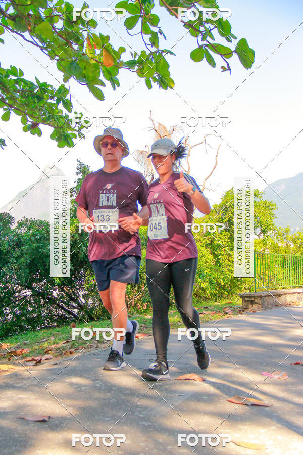 Buy your photos of the eventVelox Run on Fotop