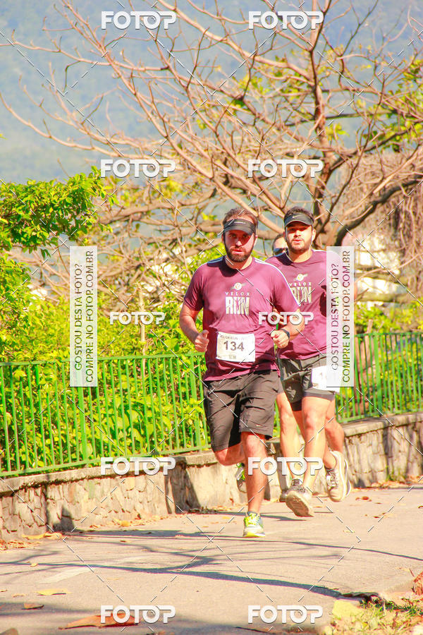 Buy your photos of the eventVelox Run on Fotop