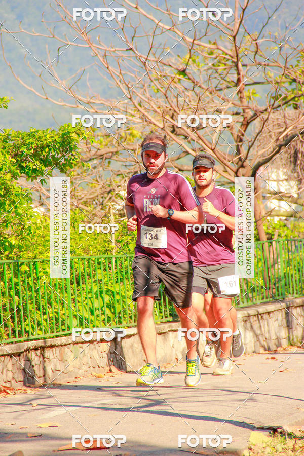 Buy your photos of the eventVelox Run on Fotop