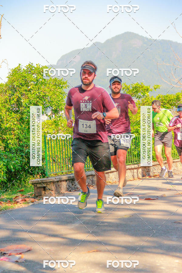 Buy your photos of the eventVelox Run on Fotop