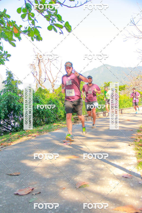 Buy your photos of the eventVelox Run on Fotop