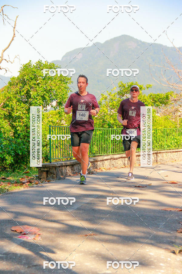 Buy your photos of the eventVelox Run on Fotop