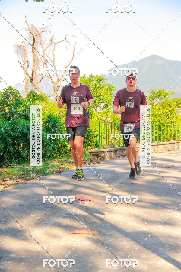 Buy your photos of the eventVelox Run on Fotop