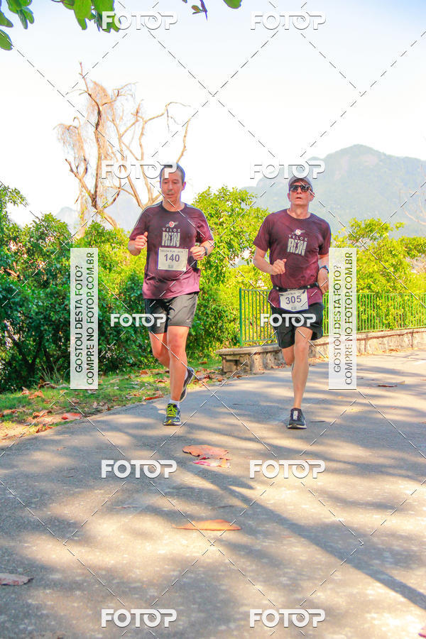Buy your photos of the eventVelox Run on Fotop
