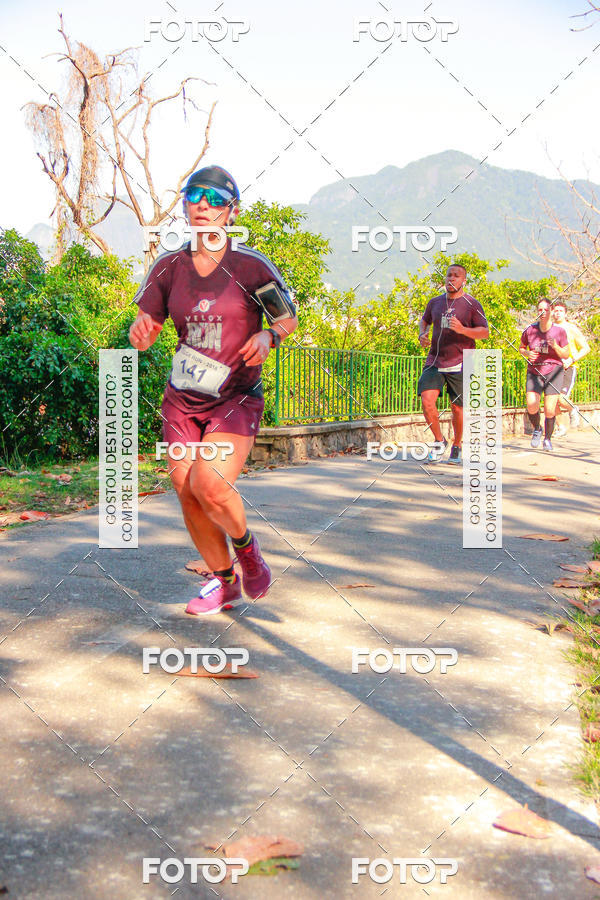 Buy your photos of the eventVelox Run on Fotop