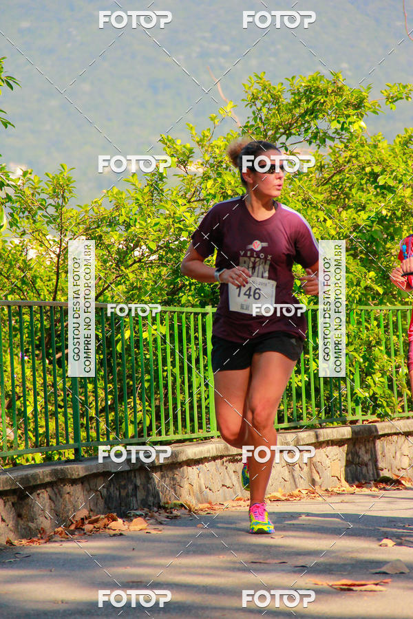 Buy your photos of the eventVelox Run on Fotop